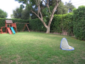 Enlarge photo 41