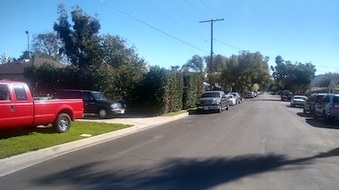 Enlarge photo 23