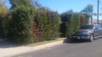 Enlarge photo 24