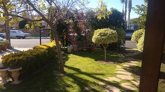 Enlarge photo 42