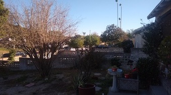 Enlarge photo 72
