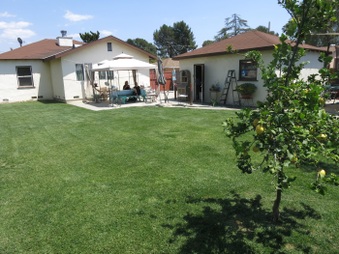 Enlarge photo 110
