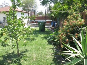 Enlarge photo 111