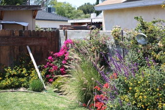 Enlarge photo 112
