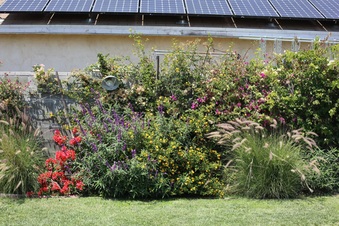 Enlarge photo 113