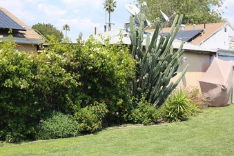 Enlarge photo 114