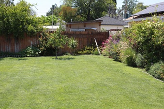 Enlarge photo 117