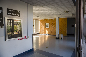 Enlarge photo 61