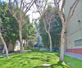 Enlarge photo 43