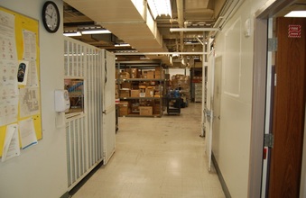 Enlarge photo 61