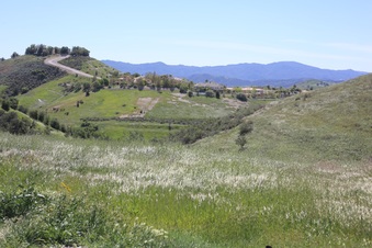 Enlarge photo 3