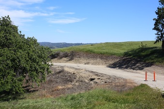 Enlarge photo 12