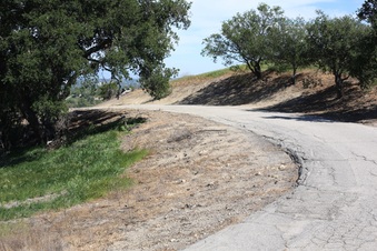 Enlarge photo 23
