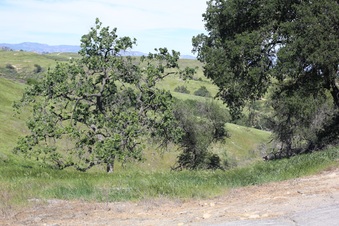 Enlarge photo 25