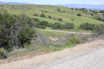 Enlarge photo 27