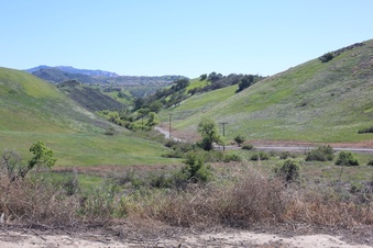 Enlarge photo 42