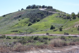 Enlarge photo 43
