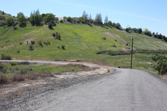 Enlarge photo 44