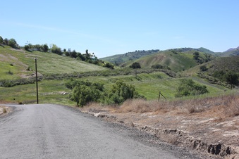 Enlarge photo 45