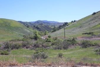 Enlarge photo 46