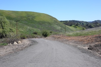 Enlarge photo 47