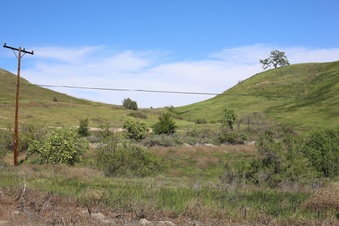 Enlarge photo 48