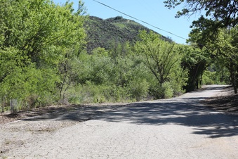 Enlarge photo 54