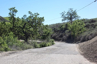 Enlarge photo 56