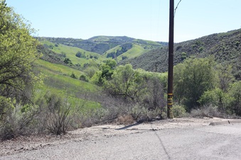 Enlarge photo 57
