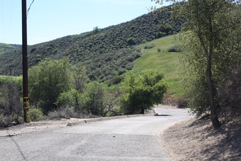 Enlarge photo 58