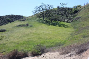 Enlarge photo 59