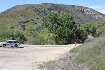Enlarge photo 64