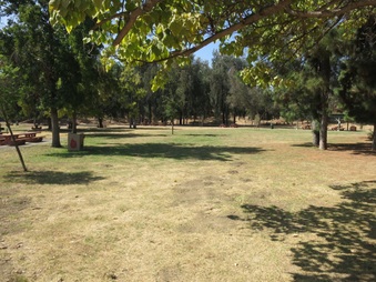 Enlarge photo 12