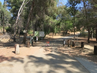 Enlarge photo 13