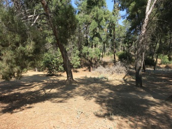 Enlarge photo 14