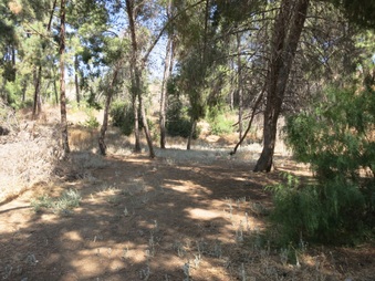 Enlarge photo 15
