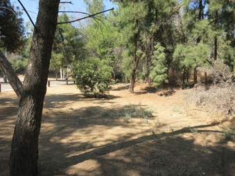 Enlarge photo 16
