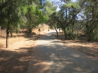 Enlarge photo 17