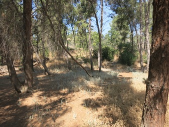 Enlarge photo 18