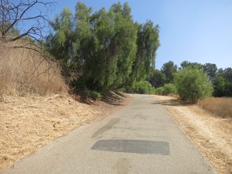 Enlarge photo 19
