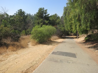 Enlarge photo 20