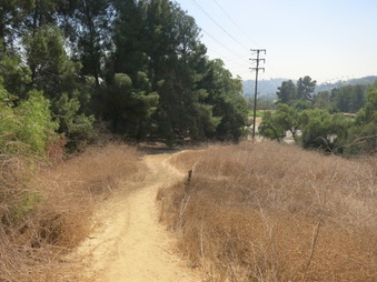 Enlarge photo 21