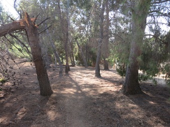 Enlarge photo 22