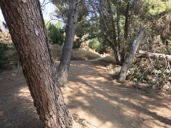 Enlarge photo 23