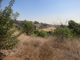 Enlarge photo 25