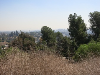 Enlarge photo 26