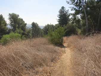Enlarge photo 27