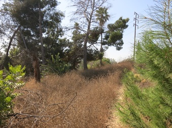 Enlarge photo 28