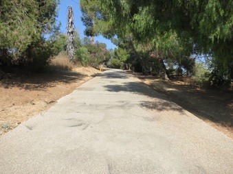 Enlarge photo 29