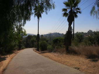 Enlarge photo 30